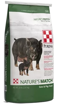 Purina_Pig_SowPig_FINAL_rs