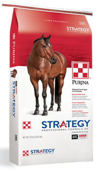 purina-strategy
